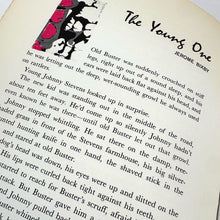 Load image into Gallery viewer, Hitchcock's Monster Museum Book