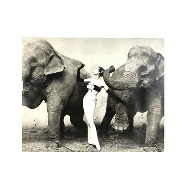 Dovima With Elephants Photo