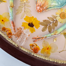 Load image into Gallery viewer, Faux Mantis Taxidermy