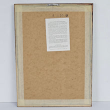 Load image into Gallery viewer, Japanese Bunting Bird Print