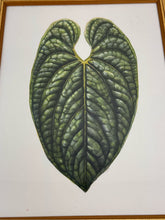 Load image into Gallery viewer, Anthurium Leaf Framed Print