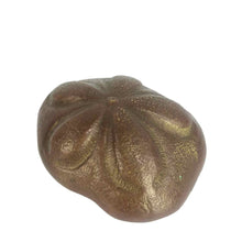 Load image into Gallery viewer, Brass Sea Biscuit Paperweight