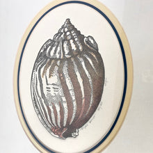 Load image into Gallery viewer, Letterpress Shell Prints