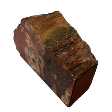 Load image into Gallery viewer, Petrified Wood Bookend