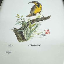 Load image into Gallery viewer, Framed Meadowlark  Print