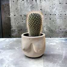 Load image into Gallery viewer, Concrete Boob Planter