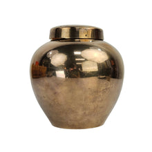 Load image into Gallery viewer, Brass Ginger Jar