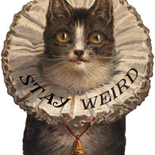 Load image into Gallery viewer, Stay Weird Cat Sticker