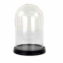Load image into Gallery viewer, Large Cloche Display