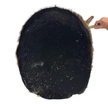 Load image into Gallery viewer, Whitetail Deer Mount