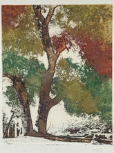 Load image into Gallery viewer, Maidy Morhous Tree Print