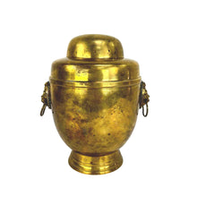 Load image into Gallery viewer, Brass Lions Urn