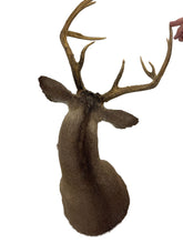 Load image into Gallery viewer, Whitetail Deer Mount