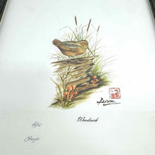 Load image into Gallery viewer, Framed Woodcock  Print