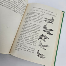 Load image into Gallery viewer, Legends from the Forest Book