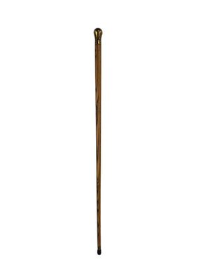 Brass & Oak Antique Cane