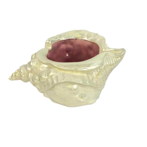 Conch Shell Planter