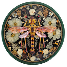 Load image into Gallery viewer, Faux Wasp Taxidermy
