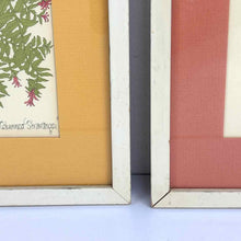 Load image into Gallery viewer, Houseplants Prints