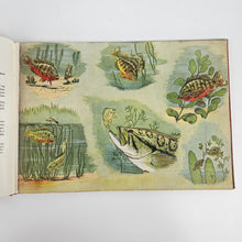 Load image into Gallery viewer, Childcraft Children's Book
