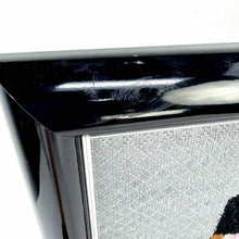Load image into Gallery viewer, Cat Lady Needlepoint