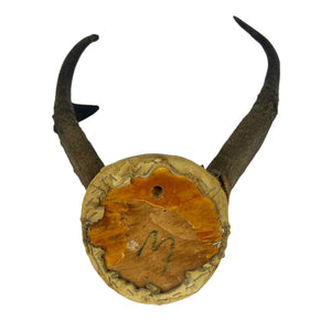 Pronhorn Antelope Horns