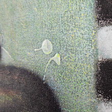 Load image into Gallery viewer, Fruit Bowl Painting