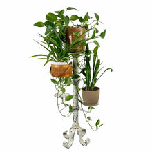 Load image into Gallery viewer, Cast Iron Plant Stand