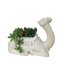 Load image into Gallery viewer, Chalkware Camel Planter