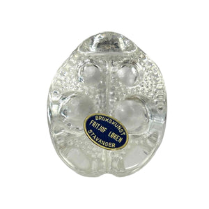Norwegian Crystal Ladybug