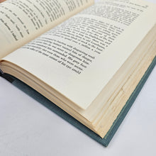 Load image into Gallery viewer, The Last Tycoon Book