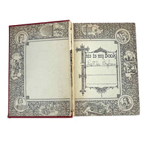 Load image into Gallery viewer, Clue of the Silken Ladder Book