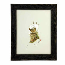 Load image into Gallery viewer, Framed Woodcock  Print