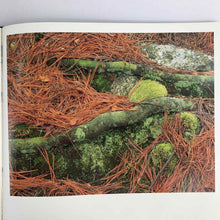Load image into Gallery viewer, Walking Photography Book