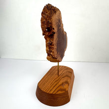 Load image into Gallery viewer, Modern Burl Wood Sculpture