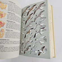 Load image into Gallery viewer, Birds of North America Book