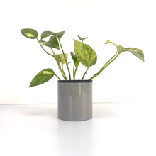 Load image into Gallery viewer, Gray Plastic Planter