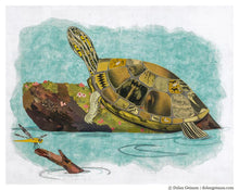 Load image into Gallery viewer, Sunshine Daydreams - Turtle Signed Print