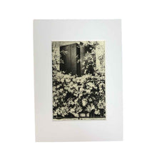 Load image into Gallery viewer, Window Open Intaglio Print