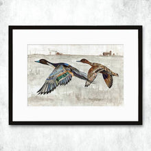 Load image into Gallery viewer, Dolan Geiman Signed Print Ducks (Pintail)