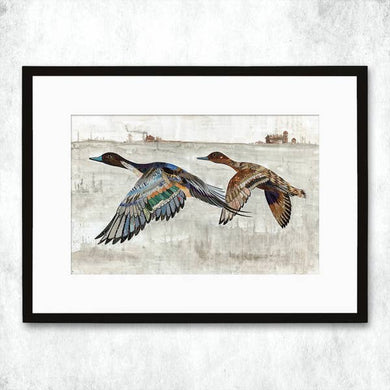 Dolan Geiman Signed Print Ducks (Pintail)