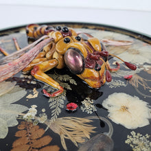 Load image into Gallery viewer, Faux Wasp Taxidermy