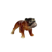 Load image into Gallery viewer, Goebel Bulldog