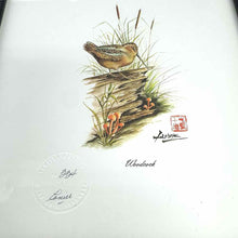 Load image into Gallery viewer, Framed Woodcock  Print