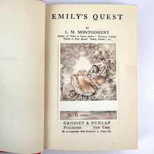 Load image into Gallery viewer, Emily's Quest Book