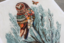 Load image into Gallery viewer, Owl Cotopaxi Sage Signed Print