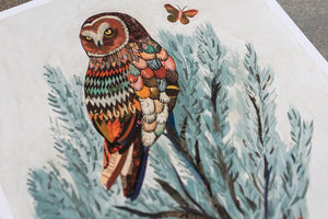 Dolan Geiman Signed Print Owl (Cotopaxi Sage)