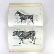 Load image into Gallery viewer, Vintage Book