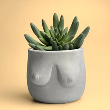 Load image into Gallery viewer, Concrete Boob Planter