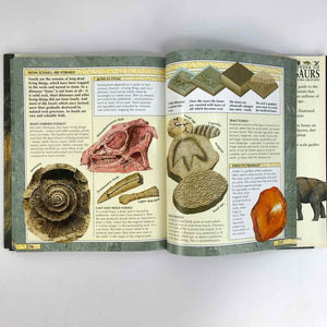 Encyclopedia of Dinosaurs Book